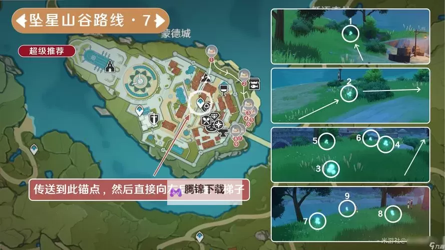 《原神》蒲公英籽采集路线推荐图1