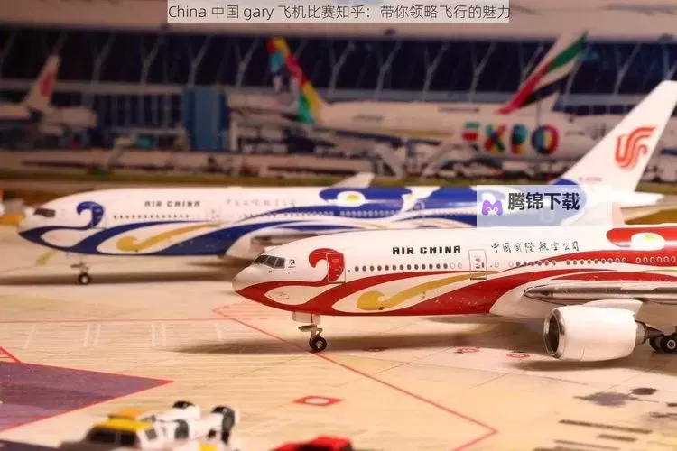 中国青年gary东北大飞机打桩：匠心勇气引领的新工程时代图2