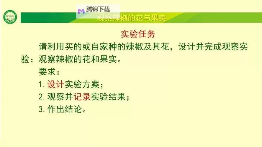 《观察者》设定、操作及全任务流程图文攻略图1