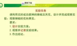 《观察者》设定、操作及全任务流程图文攻略
