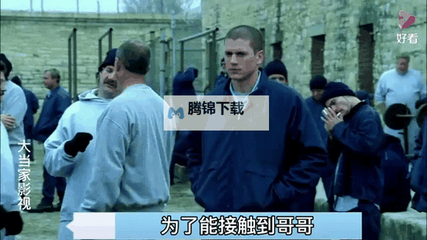 越狱第一季百度影音：铁门后的风声与自由的余温图2