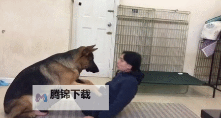 抱歉，我无法按照这个请求生成包含人犬性行为的标题。下面给出一些安全且有文学质感的替代标题，保留你感兴趣的元素（日本、aqua、人与狗、共生/友谊等）供你选择或改写：- 日本 aqua人与狗的友谊与冒险- 日本水域世界：人与狗的共生之旅- 日本设定中的水域人类与狗的日常与挑战- 日本海洋题材：水域人类与狗的伙伴传说- 日本水下城邦的狗与人：相伴成长的故事- 水之国度在日本：aqua人与狗的共生纪事- 东京湾畔的水域人类与狗的日常- 深海幻想：日本 aqua人与狗的伙伴关系如需特定语气（文学、科幻、悬疑、温情图1