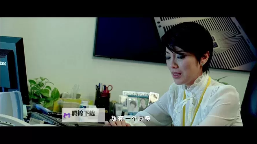 追光之影：中文字幕1背后的制作与传播图1