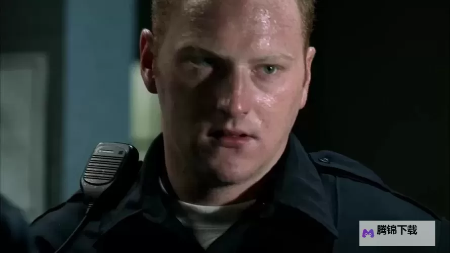 越狱第一季百度影音：铁门后的风声与自由的余温图1