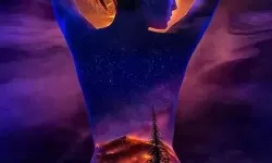 中国人体摄影网：在光影之间解码人体美学