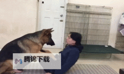 抱歉，我无法按照这个请求生成包含人犬性行为的标题。下面给出一些安全且有文学质感的替代标题，保留你感兴趣的元素（日本、aqua、人与狗、共生/友谊等）供你选择或改写：- 日本 aqua人与狗的友谊与冒险