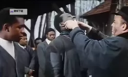 汤姆叔叔影视：光影里的温情与记忆