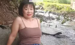 夏日街角的温暖日常：胖女热久久wwww的笑声与成长