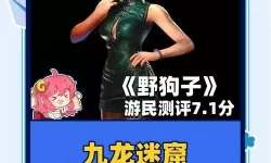 《野狗子》战斗系统教学