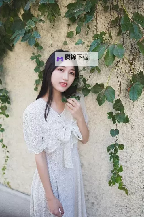 秋葵下载汅api免费——合规获取资源的指南与风险提示图1