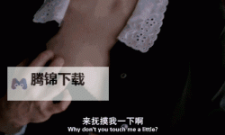 日本动态污图：欲望影像在网络时代的伦理边界