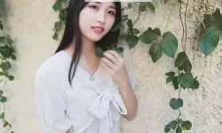 秋葵下载汅api免费——合规获取资源的指南与风险提示