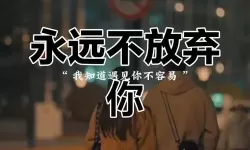 夜色迷局：只要你陪我一晚我就放了他