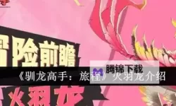 《驯龙高手旅程》公测兑换码分享 驯龙高手旅程官方兑换码一览