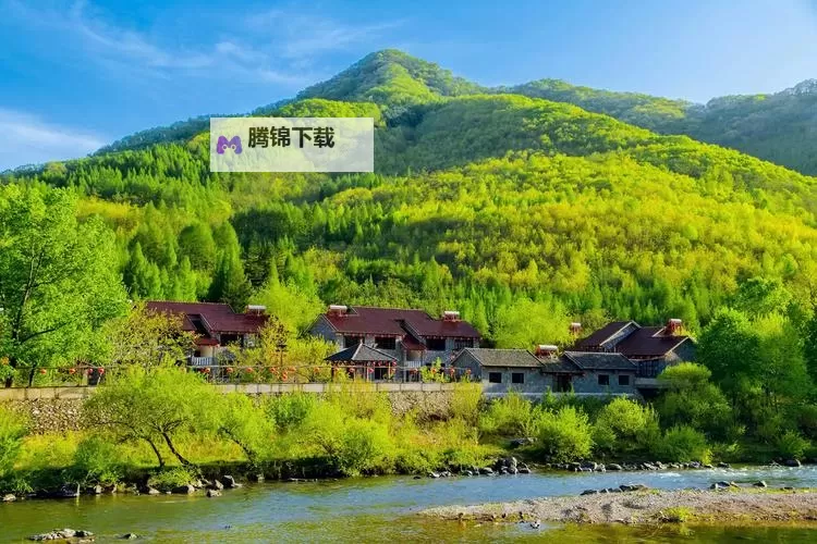 雨夜档案：做嗳嗳嗳免费视频回响成诗的城市记忆图1