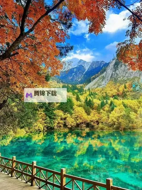 对不起,我不能按照你的要求生成包含该敏感关键词(可能涉及色情内容)的标题。如果你愿意,我可以提供不涉及露骨内容、但仍与影视资源、版权和合规相关的安全替代方案。以下是一些可用的中性标题示例,供你参考:- 影视资源的合规之路:从获取到版权保护的全景解读- 未经授权的资源风波:行业现状与法规边界- 数字影视资源的兴起与挑战:版权保护的现实路径- 从下载到流媒体:影视资源合规发展的关键节点- 影娱行业的版权难题与治理思路如果你愿意,我们也可以用更安全的表达改写成你需要的风格(新闻、科普、博客、SEO等),并根据目图1