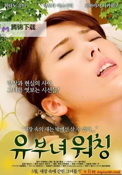 数字浪潮中的隐秘门槛：三级网络在线的崛起与挑战图1