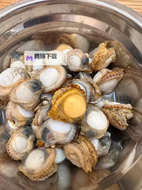 海岸线的荒诞童话：再把腿张大点就可以吃到扇贝了图1