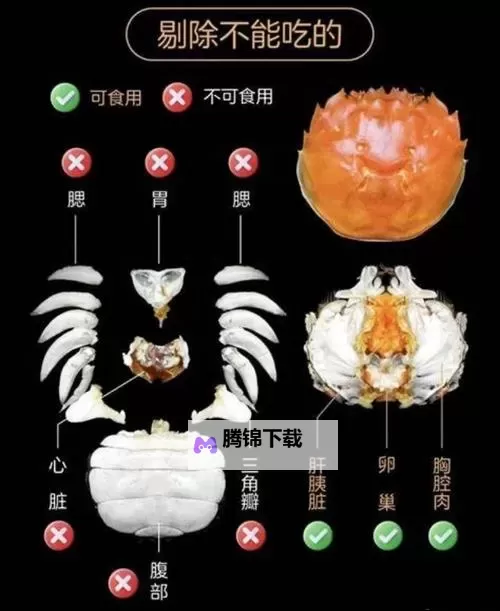《恶意不息》甲壳肆虐螃蟹位置一览 甲壳肆虐螃蟹在哪图1