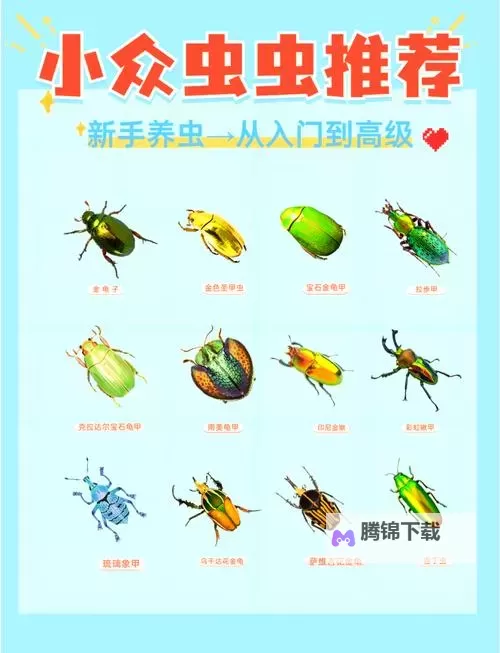 虫虫漫画:微观世界的温柔冒险图1