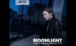 月夜影视高清完整版在线观看：月光之下的影像诗篇