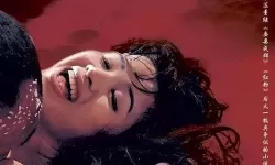 色老大电影：权力、欲望与城市的阴影