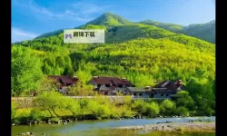 雨夜档案：做嗳嗳嗳免费视频回响成诗的城市记忆