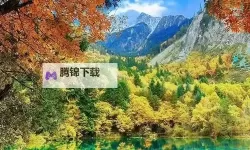 《原神》闲云角色攻略 闲云圣遗物与武器选择推荐