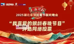 用声音点亮梦想：中国梦之声投票通道全解