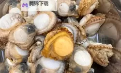 海岸线的荒诞童话：再把腿张大点就可以吃到扇贝了