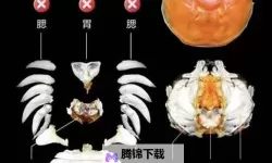 《恶意不息》甲壳肆虐螃蟹位置一览 甲壳肆虐螃蟹在哪