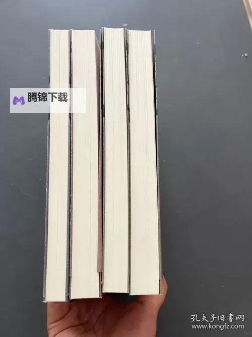 中国高干子女沉浮录：权力、家族与个人命运的三重旋涡图1