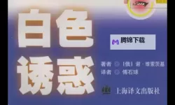 白白色情网：夜色中的欲望与记忆