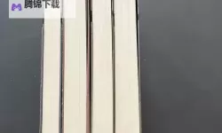 中国高干子女沉浮录：权力、家族与个人命运的三重旋涡